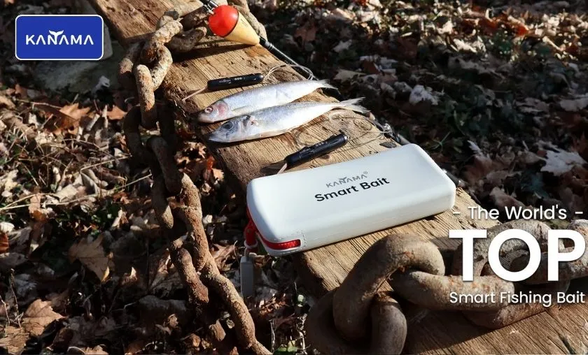 Kanama Review: Best Smart Fishing Gear & Bait! ([wpsm_custom_meta type=date field=month] [wpsm_custom_meta type=date field=year]) - The Complete Portal
