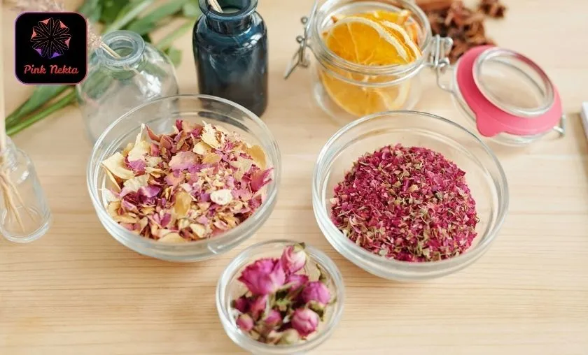 Pink Nekta Review: Best Spa Treatments & Wellness!([wpsm_custom_meta type=date field=month] [wpsm_custom_meta type=date field=year]) - The Complete Portal