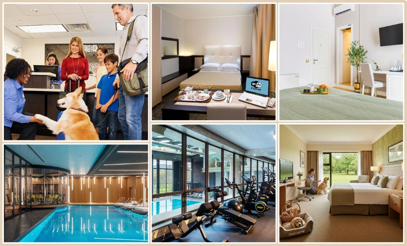 Amenities & Services: Tailoring Your Comfort