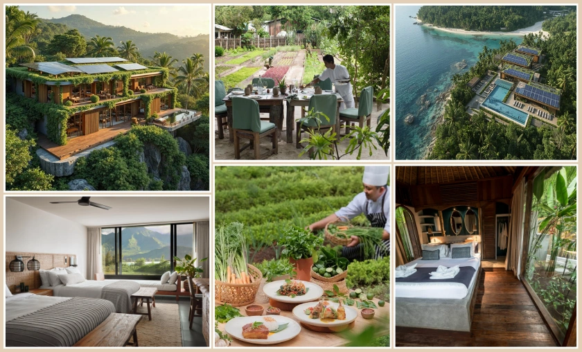 Eco-Friendly Retreats: The Allure of Sustainable Stays