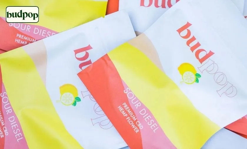 BudPop Review: Best CBD Gummies, Flower & Wellness! ([wpsm_custom_meta type=date field=month] [wpsm_custom_meta type=date field=year]) - The Complete Portal