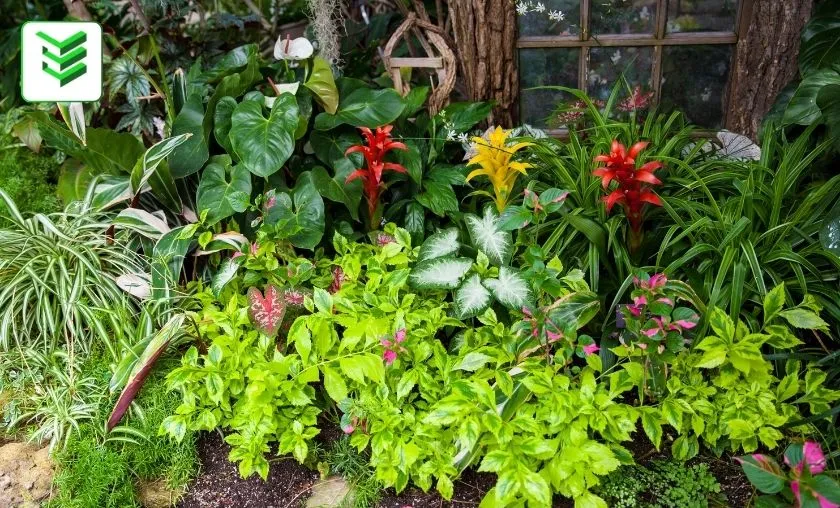 Engineered Essentials Review: Best Indoor Gardening! ([wpsm_custom_meta type=date field=month] [wpsm_custom_meta type=date field=year]) - The Complete Portal