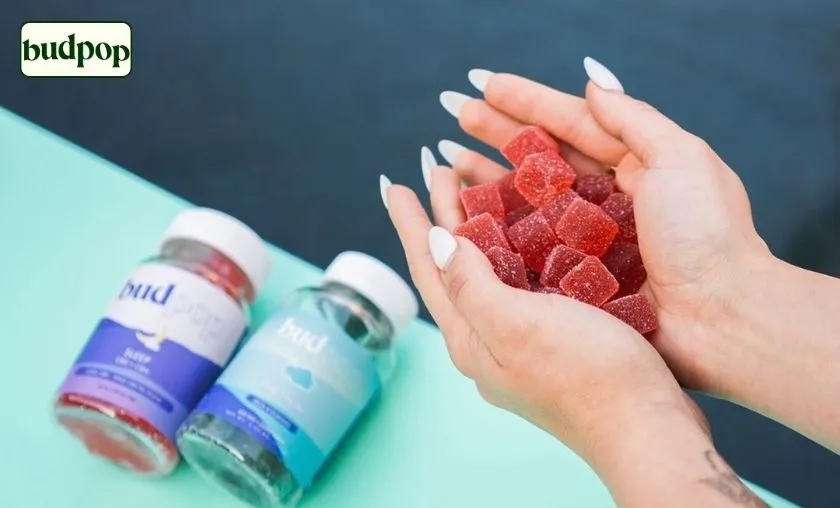 BudPop Review: Best CBD Gummies, Flower & Wellness! ([wpsm_custom_meta type=date field=month] [wpsm_custom_meta type=date field=year]) - The Complete Portal