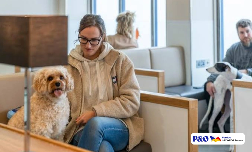 P&O Ferries FR Review: Tickets, Routes & Facilities! ([wpsm_custom_meta type=date field=month] [wpsm_custom_meta type=date field=year]) - The Complete Portal