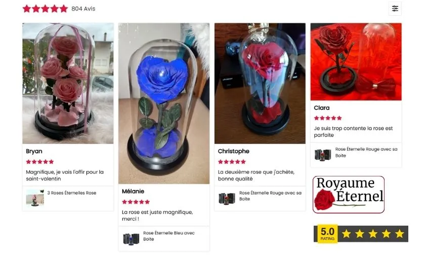 Royaume Éternel Review: Best Eternal Roses & Bouquet! ([wpsm_custom_meta type=date field=month] [wpsm_custom_meta type=date field=year]) - The Complete Portal