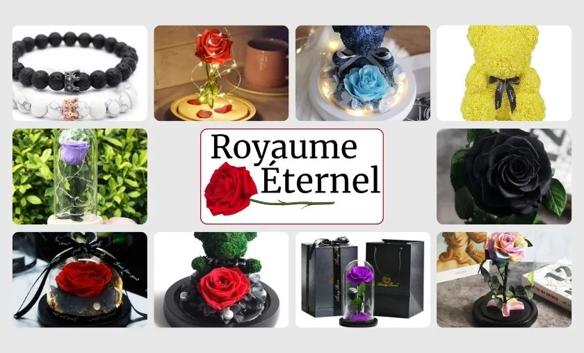 Royaume Éternel Review: Best Eternal Roses & Bouquet! ([wpsm_custom_meta type=date field=month] [wpsm_custom_meta type=date field=year]) - The Complete Portal