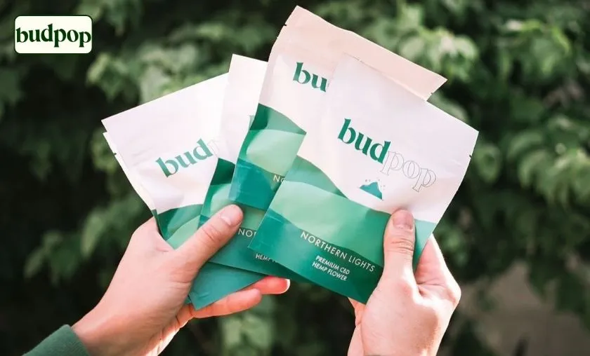 BudPop Review: Best CBD Gummies, Flower & Wellness! ([wpsm_custom_meta type=date field=month] [wpsm_custom_meta type=date field=year]) - The Complete Portal