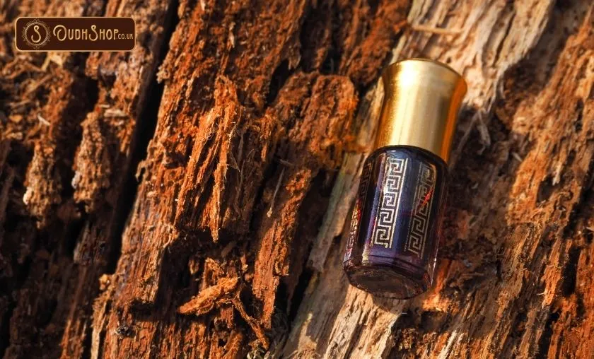 Oudh Shop Review: Best Oud, Attar & Spray Perfumes! ([wpsm_custom_meta type=date field=month] [wpsm_custom_meta type=date field=year]) - The Complete Portal