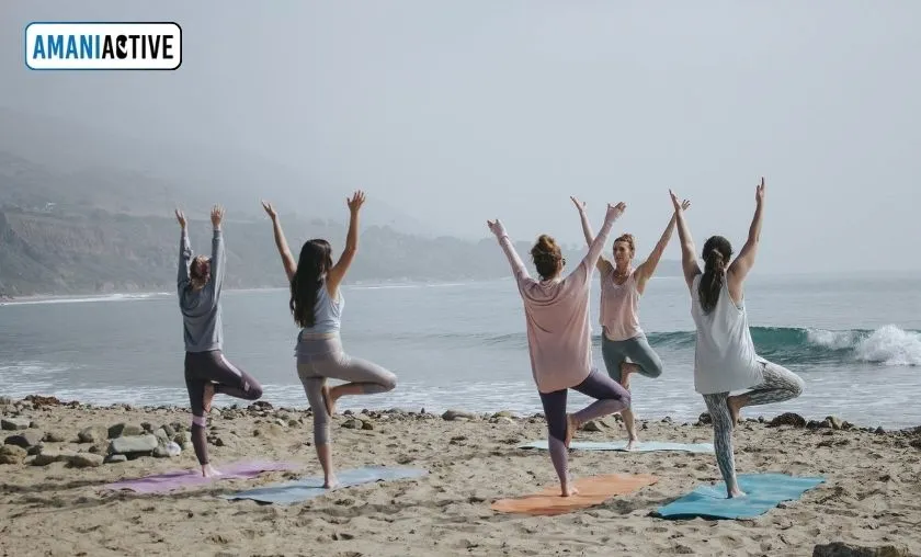 AmaniActive Review: Luxury Fitness & Athleisure! ([wpsm_custom_meta type=date field=month] [wpsm_custom_meta type=date field=year]) - The Complete Portal