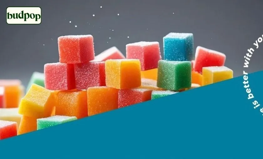 BudPop Review: Best CBD Gummies, Flower & Wellness! ([wpsm_custom_meta type=date field=month] [wpsm_custom_meta type=date field=year]) - The Complete Portal