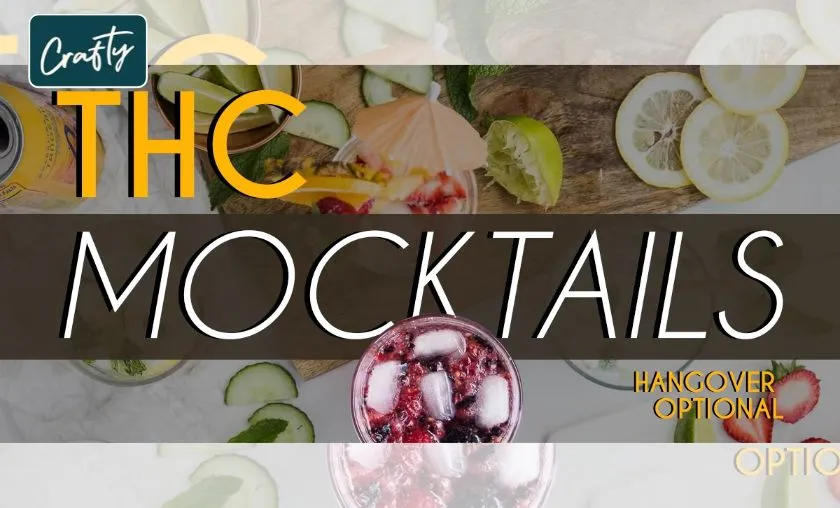 Crafty Review: Best Cocktail Drinks, Gummies & Tea! ([wpsm_custom_meta type=date field=month] [wpsm_custom_meta type=date field=year]) - The Complete Portal