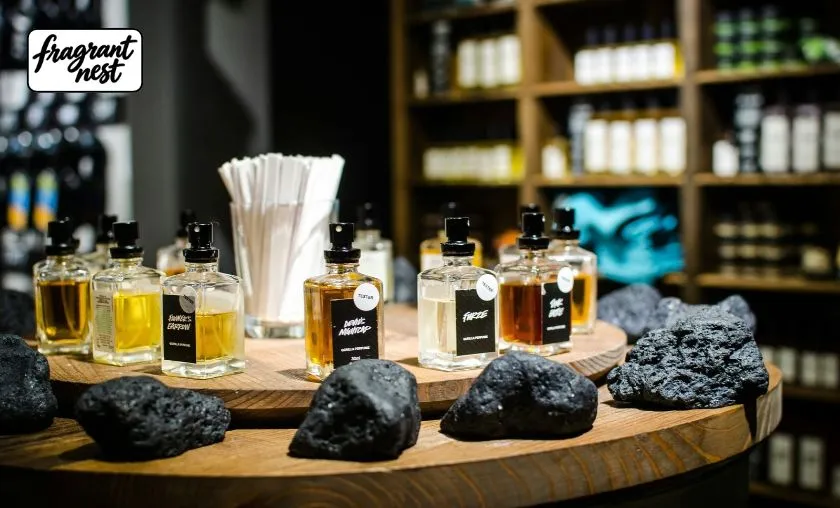 Fragrant Nest Review: Best Fragrances & Skincare! ([wpsm_custom_meta type=date field=month] [wpsm_custom_meta type=date field=year]) - The Complete Portal