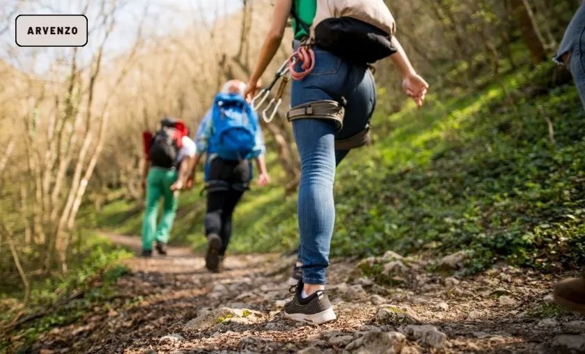 Arvenzo BE Review: Best Hoodies & Outdoor Gear! ([wpsm_custom_meta type=date field=month] [wpsm_custom_meta type=date field=year]) - The Complete Portal