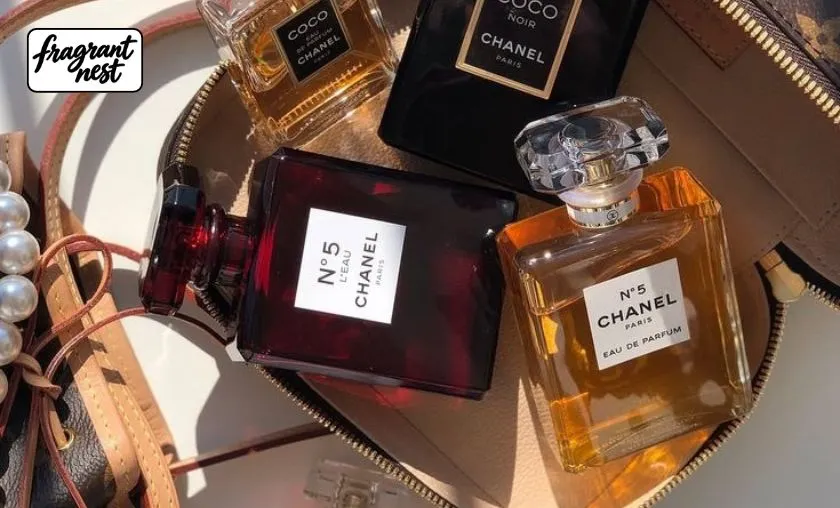 Fragrant Nest Review: Best Fragrances & Skincare! ([wpsm_custom_meta type=date field=month] [wpsm_custom_meta type=date field=year]) - The Complete Portal