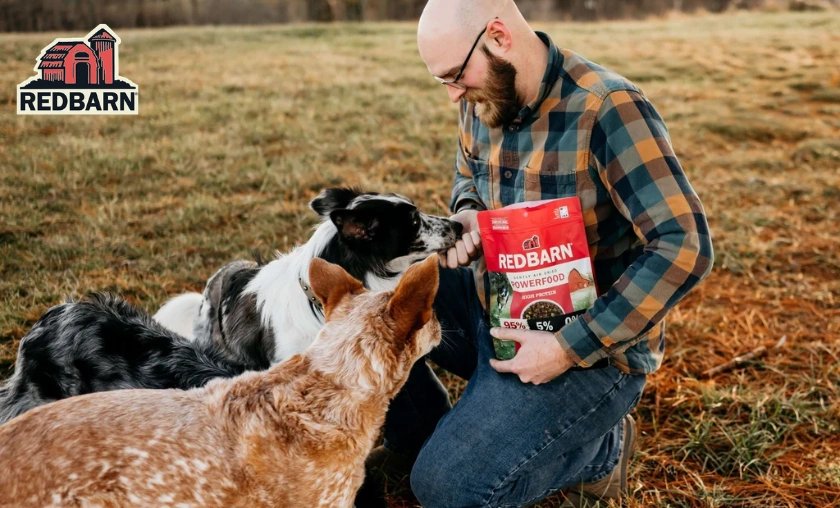 Redbarn Pet Products US Review: Best Pet Supplies! ([wpsm_custom_meta type=date field=month] [wpsm_custom_meta type=date field=year]) - The Complete Portal