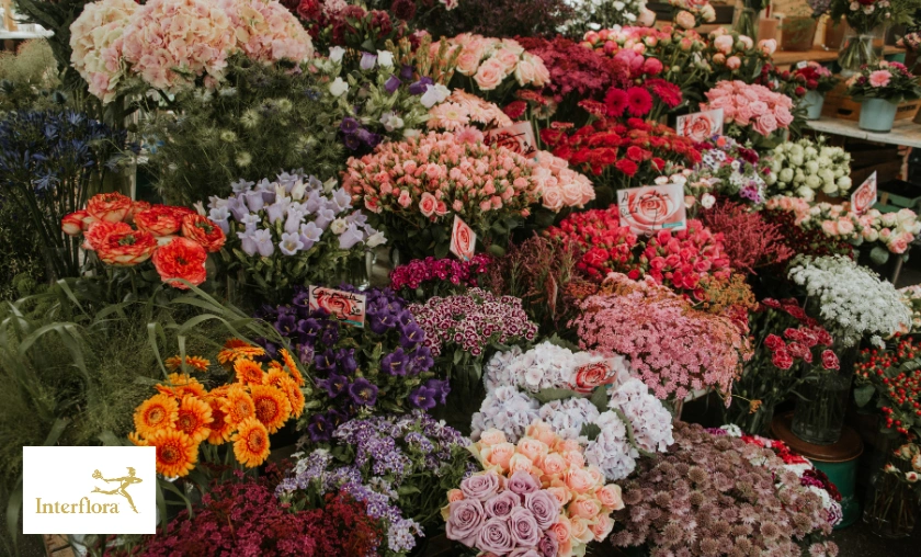 Interflora AU Review: Flowers Gifts & Delivery! ([wpsm_custom_meta type=date field=month] [wpsm_custom_meta type=date field=year]) - The Complete Portal