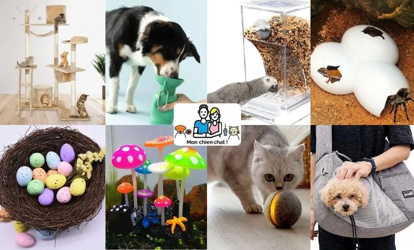 Monchienchat Review: Best Pet Food, Toys & Furniture! ([wpsm_custom_meta type=date field=month] [wpsm_custom_meta type=date field=year]) - The Complete Portal