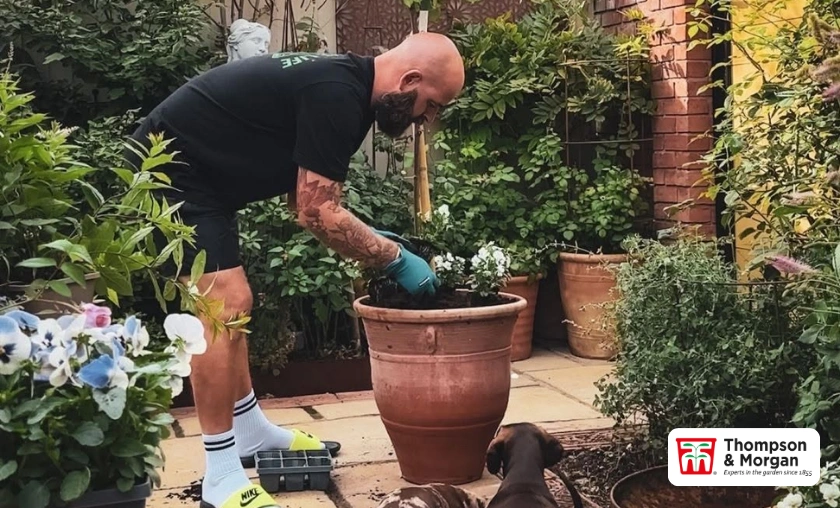 Thompson & Morgan UK Review: Best Garden Essentials! ([wpsm_custom_meta type=date field=month] [wpsm_custom_meta type=date field=year]) - The Complete Portal
