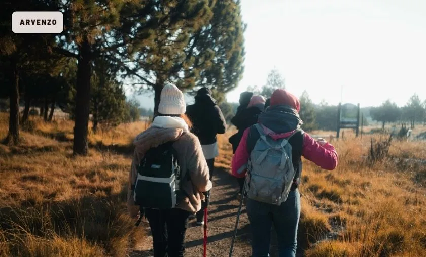 Arvenzo BE Review: Best Hoodies & Outdoor Gear! ([wpsm_custom_meta type=date field=month] [wpsm_custom_meta type=date field=year]) - The Complete Portal