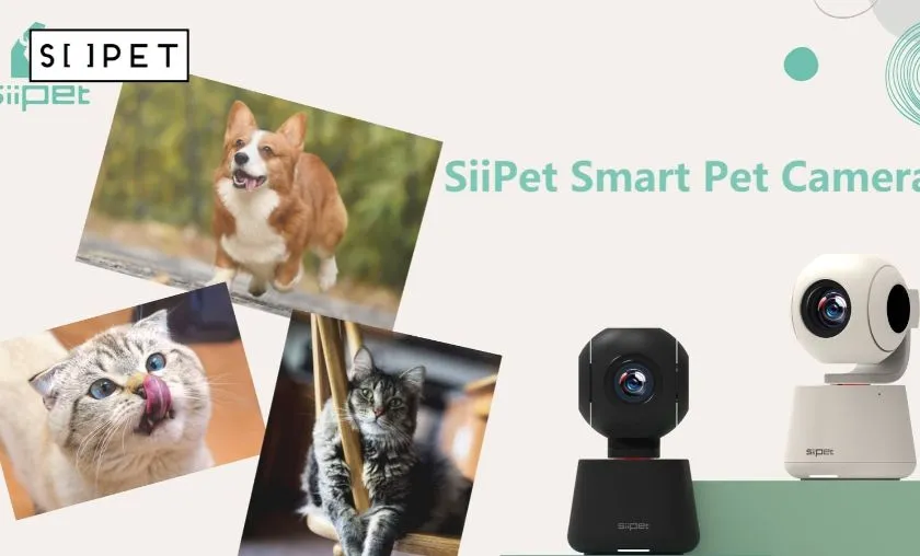 SiiPet Review: Best Pet Cameras & Smart LitterLens! ([wpsm_custom_meta type=date field=month] [wpsm_custom_meta type=date field=year]) - The Complete Portal