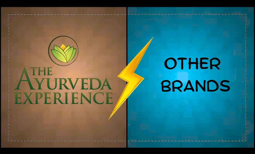 The Ayurveda Experience DE Review: Beauty & Value! ([wpsm_custom_meta type=date field=month] [wpsm_custom_meta type=date field=year]) - The Complete Portal