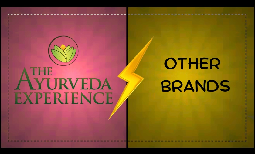 The Ayurveda Experience IT Review: Beauty & Wellness! ([wpsm_custom_meta type=date field=month] [wpsm_custom_meta type=date field=year]) - The Complete Portal