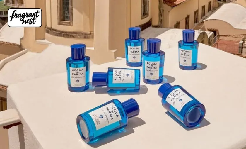 Fragrant Nest Review: Best Fragrances & Skincare! ([wpsm_custom_meta type=date field=month] [wpsm_custom_meta type=date field=year]) - The Complete Portal