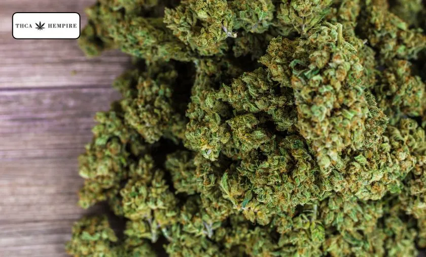 THCa Hempire Review: Best THCa Flower & Edibles! ([wpsm_custom_meta type=date field=month] [wpsm_custom_meta type=date field=year]) - The Complete Portal
