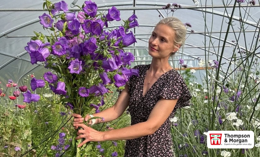 Thompson & Morgan UK Review: Best Garden Essentials! ([wpsm_custom_meta type=date field=month] [wpsm_custom_meta type=date field=year]) - The Complete Portal