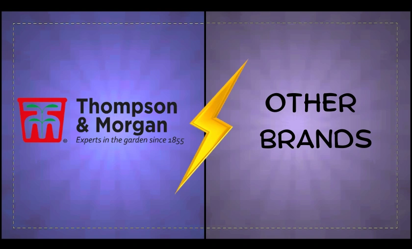 Thompson & Morgan UK Review: Best Garden Essentials! ([wpsm_custom_meta type=date field=month] [wpsm_custom_meta type=date field=year]) - The Complete Portal