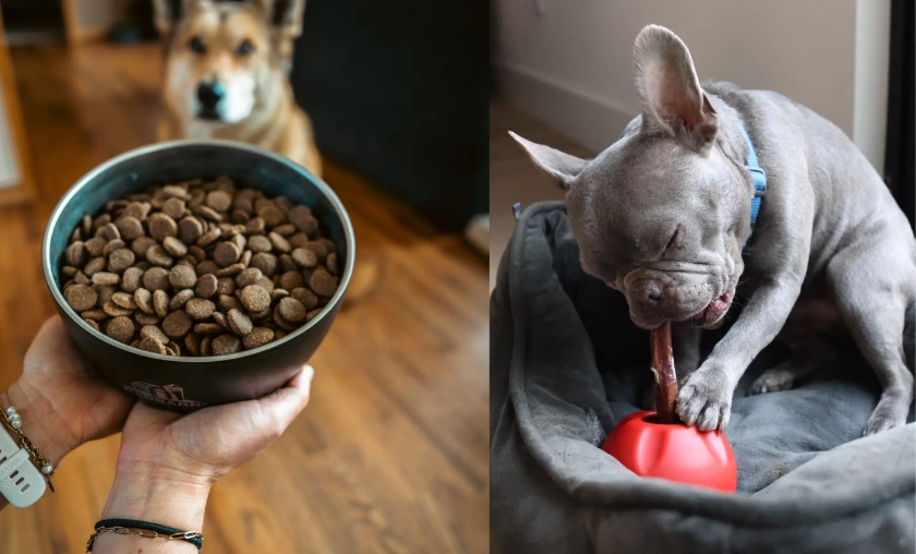 Redbarn Pet Products US Review: Best Pet Supplies! ([wpsm_custom_meta type=date field=month] [wpsm_custom_meta type=date field=year]) - The Complete Portal