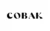 Get 10% OFF on COBAK Offer!