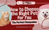 How to Choose the Right Pet for You: The Perfect Companion (April 2026)