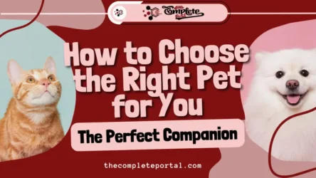 How to Choose the Right Pet for You: The Perfect Companion (December 2025)