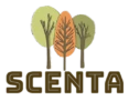 Sitewide 50% OFF on SCENTA Offer!