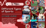 The Different Types of Sports: A Dynamic Journey (July 2026)